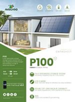 EN-P100-datasheet-V1.1